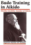 Budo training in Aikido
